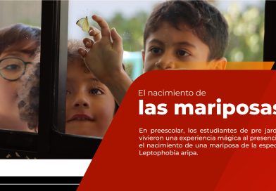 El nacimiento de las mariposas