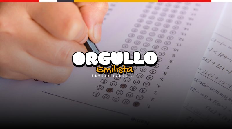 Pruebas Saber 11°